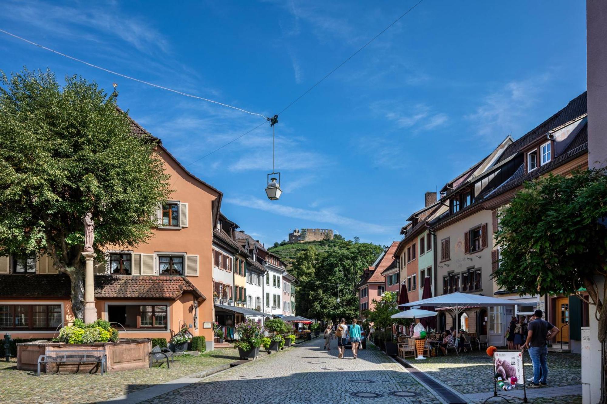 Ferienwohnung Am Neumagen Staufen im Breisgau Zewnętrze zdjęcie